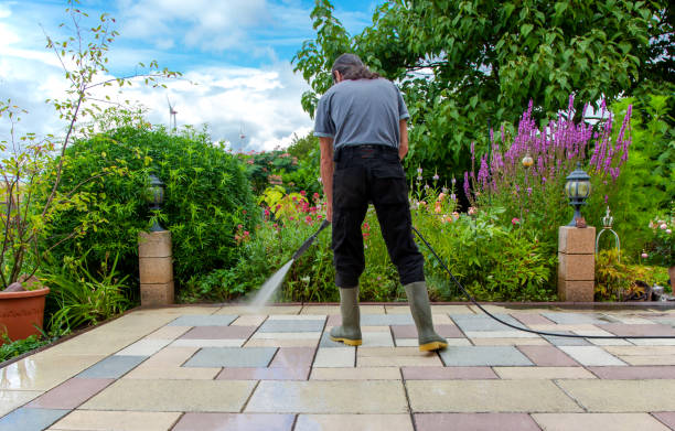 Best Driveway Pressure Washing  in USA